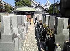廣徳寺境内墓地